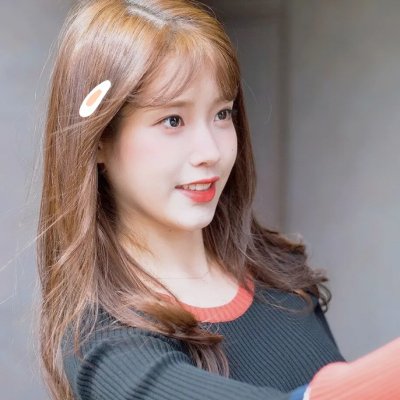 大小姐和看门犬